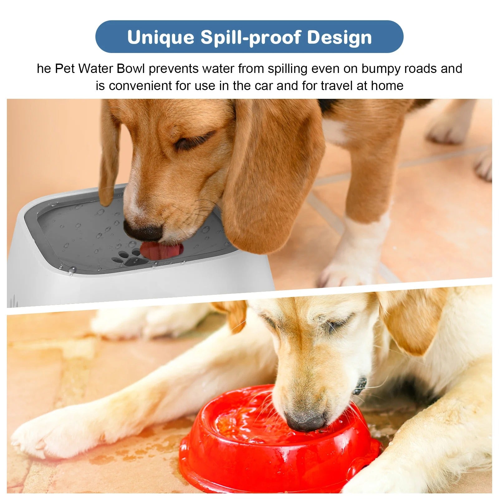 Anti Splash Dog Bowl The Zero Splash